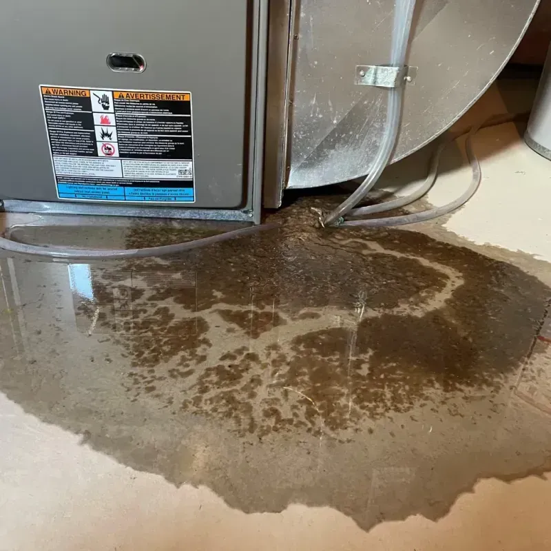 Appliance Leak Cleanup in East Valley, NV